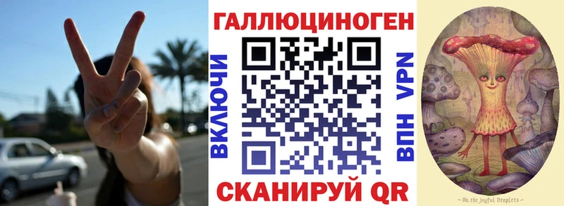 Псилоцибиновые грибы Psilocybe  Можга 