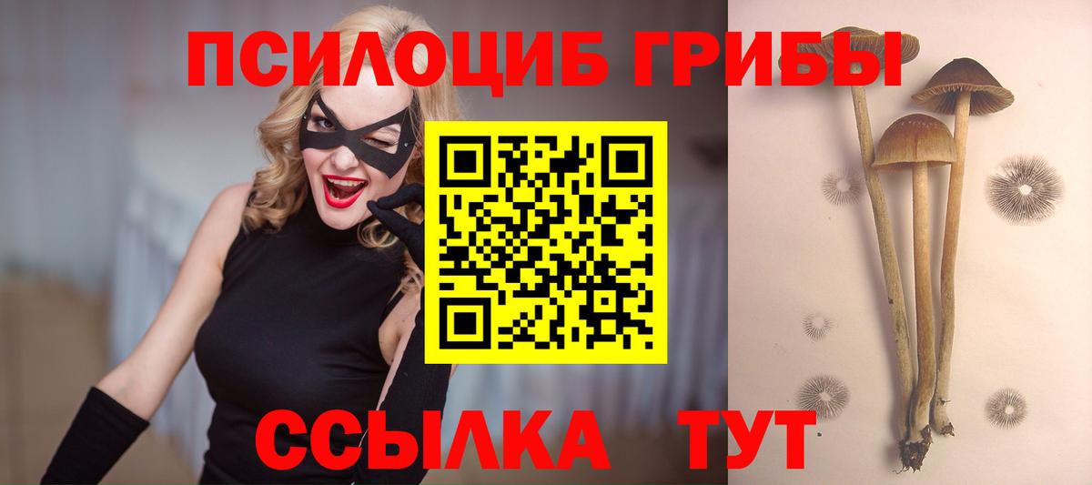 Можга  Псилоцибиновые грибы мухоморы  Вход с VPN 